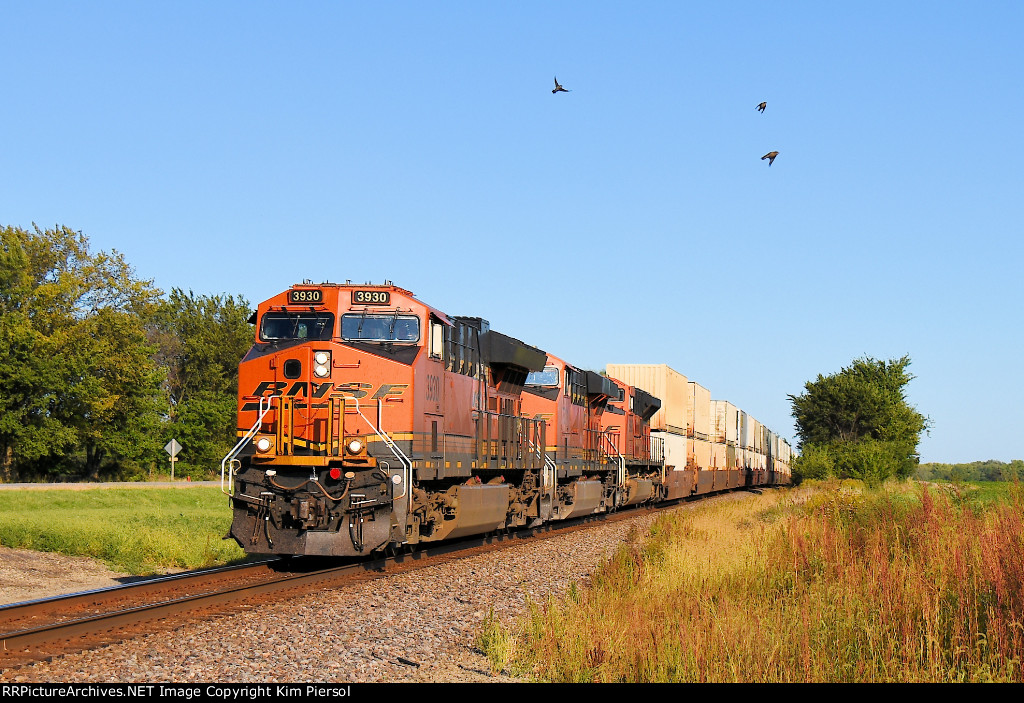 BNSF 3930 7711 8993